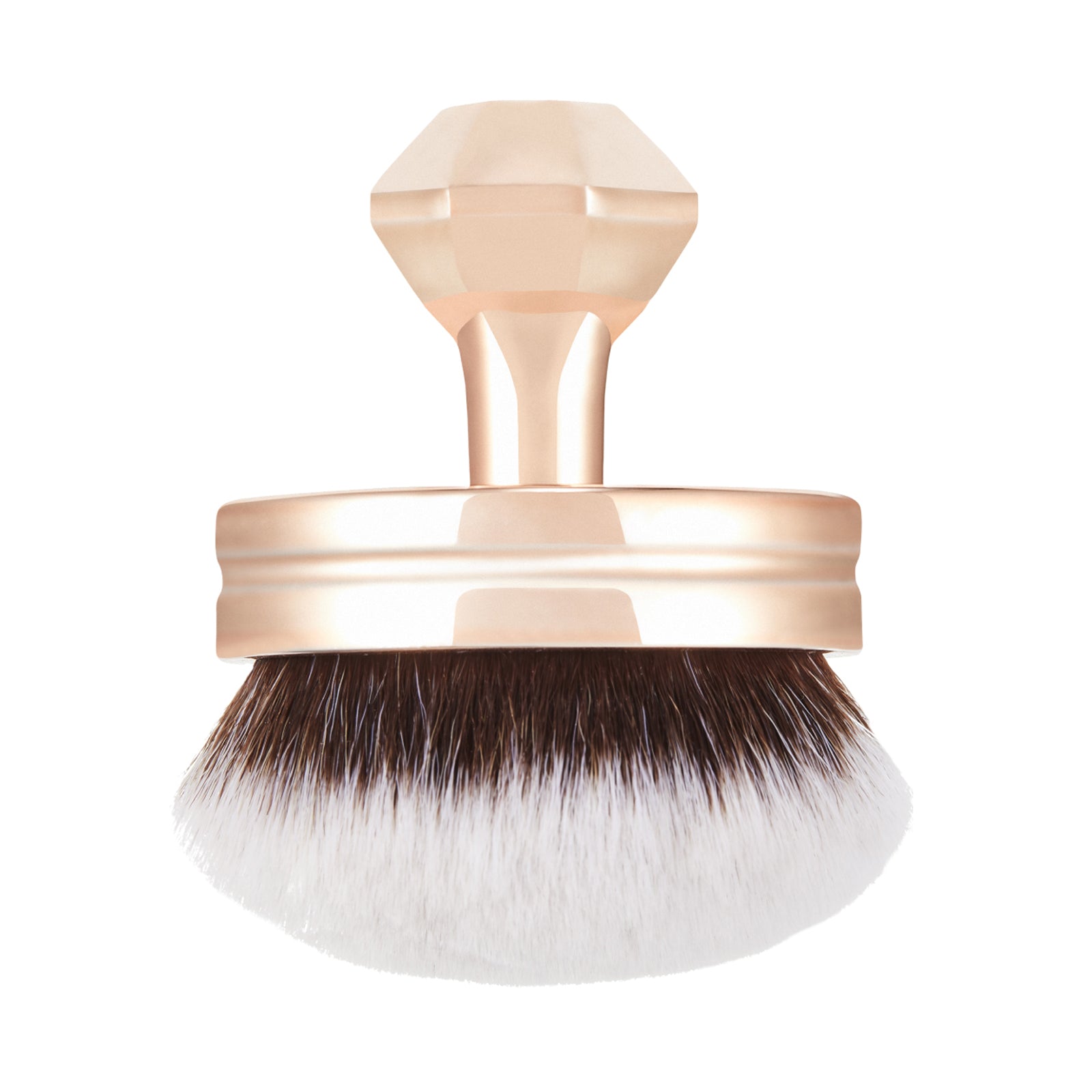 VANI-T Face & Beauty Brush